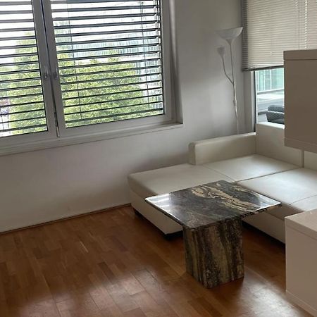 Linz Donau Ufer Stadt Mitte Екстер'єр фото