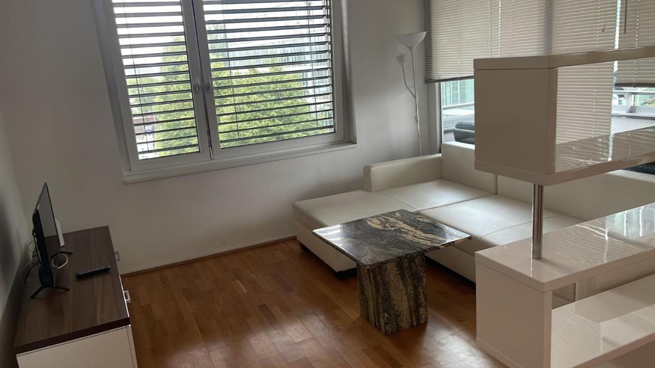 Linz Donau Ufer Stadt Mitte Екстер'єр фото